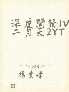 深度开发1V3二月天2YT