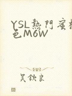 YSL热门蜜桃色M6W