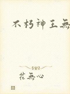 不朽神王无弹窗