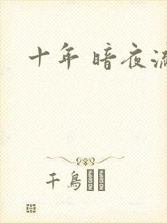 十年 暗夜流光