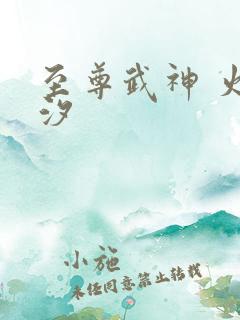 至尊武神 火龙汐