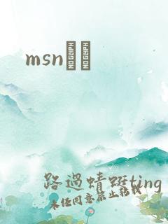 msnС˵