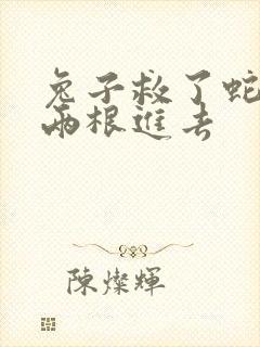 兔子救了蛇被蛇两根进去