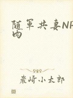 随军共妻NP纯肉