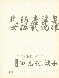 我的老婆是冰山女总载沈浪