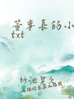 董事长的小王爷txt