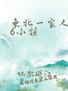 东北一家人1一6小说
