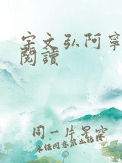 宇文弘阿宁全文阅读