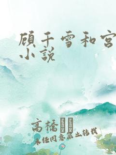 顾千雪和宫凌沨小说