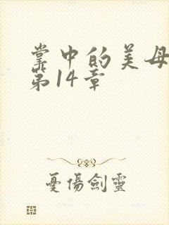 掌中的美母版主第14章