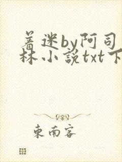 着迷by阿司匹林小说txt下载