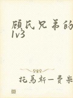 顾氏兄弟的南宁1v3