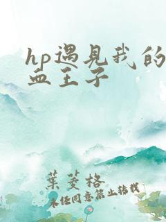 hp遇见我的混血王子
