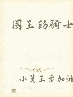 国王的骑士