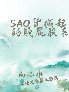 SAO货撅起你的贱屁股来