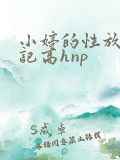 小婷的性放荡日记高hnp