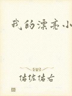 我的漂亮小后妈