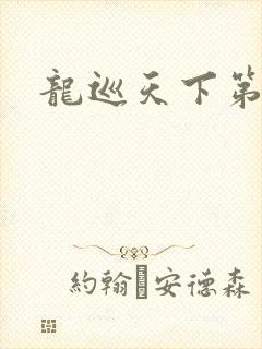 龙巡天下第四部