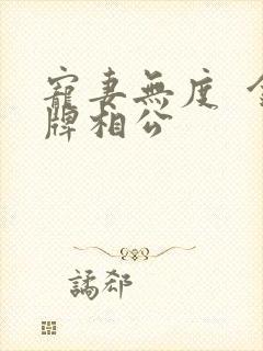 宠妻无度  金牌相公