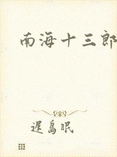南海十三郎小说