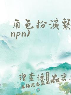 角色扮演系统(npn)