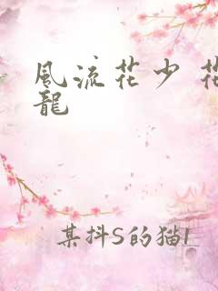 风流花少 花睿龙