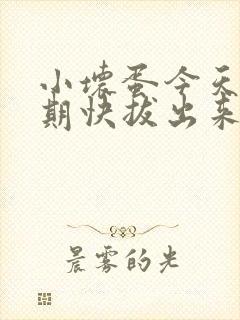 小坏蛋今天危险期快拔出来