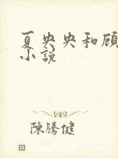 夏央央和顾祁琛小说