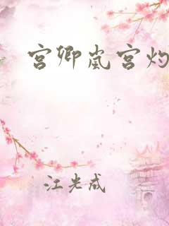 宫卿岚宫灼小说