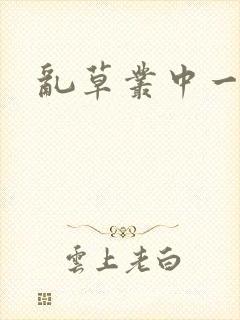 乱草丛中一杆枪