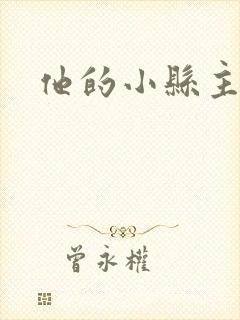 他的小县主