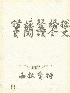 错嫁替婚总裁免费阅读全文