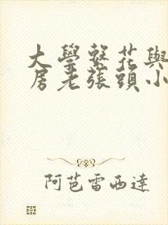 大学系花与锅炉房老张头小说