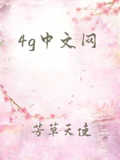 4g中文网