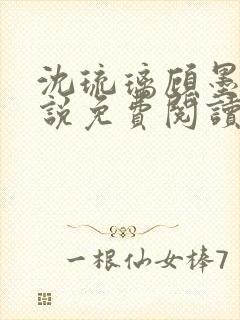 沈琉璃顾墨枫小说免费阅读