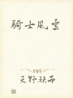 骑士风云