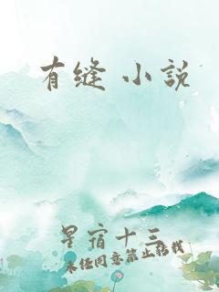 有缝 小说