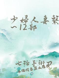 少妇人妻系列1～12部