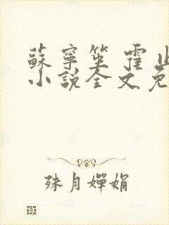 苏宁笙 霍止行小说全文免费阅读