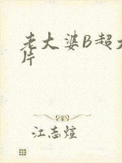 老大婆B超大图片