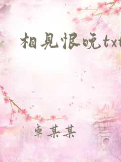 相见恨晚txt