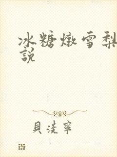 冰糖炖雪梨 小说