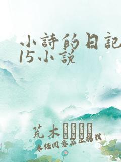 小诗的日记1一15小说