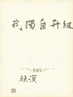 我独自升级小说