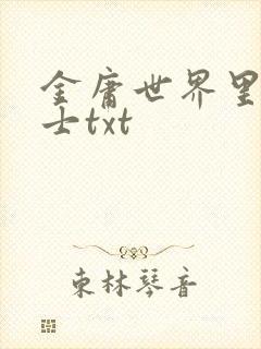 金庸世界里的道士txt