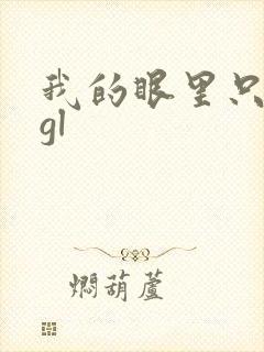 我的眼里只有你gl