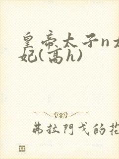 皇帝太子n太子妃(高h)