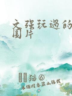 文强玩过的女人图片