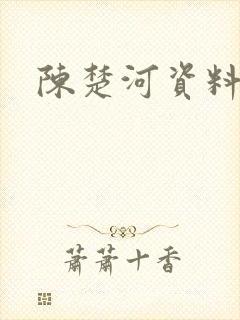 陈楚河资料