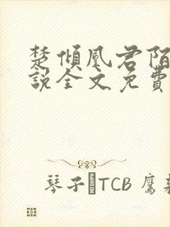 楚倾凰君陌尘小说全文免费阅读